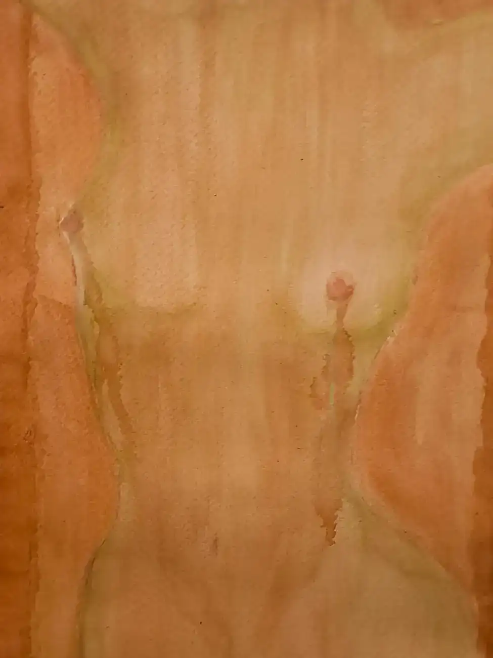 Obra de Bianca Ripoll