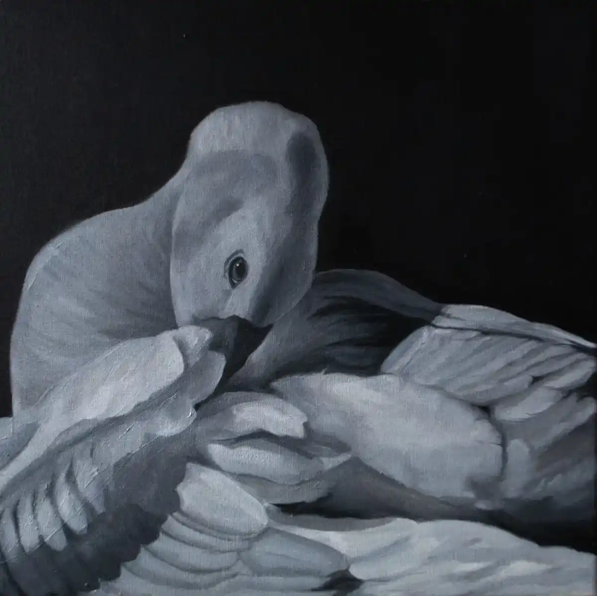Obra de Bianca Ripoll