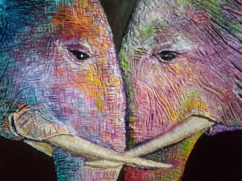Obra de Claudia Coletta