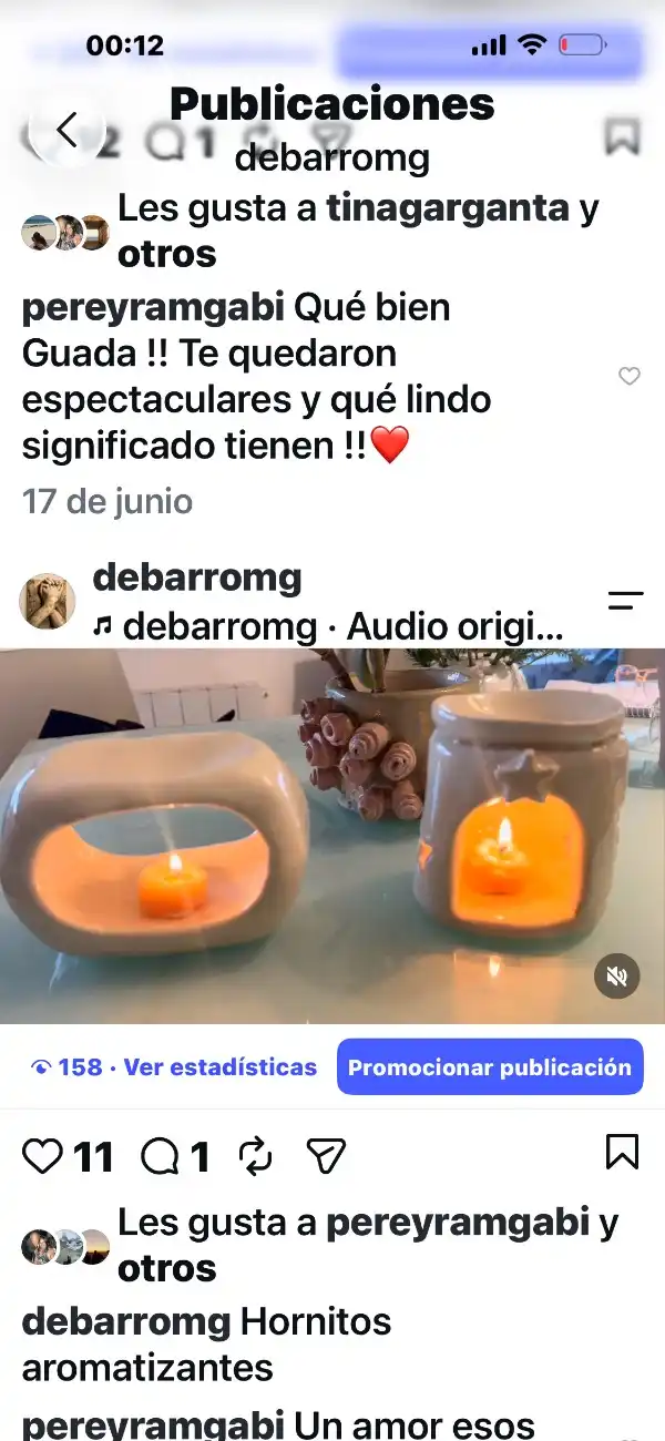 Obra de María Guadalupe Pereyra