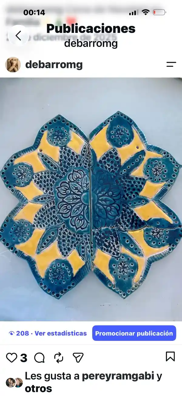 Obra de María Guadalupe Pereyra