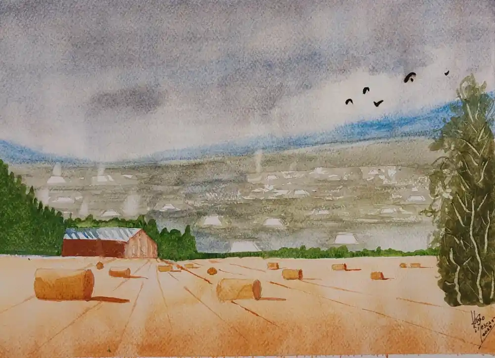 Un campo seco