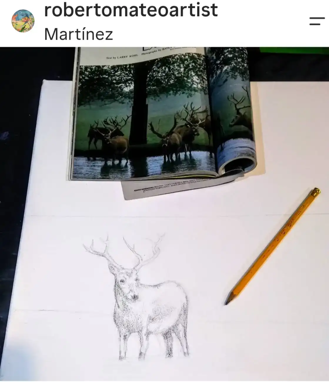 Obra de Roberto Antonio Mateo