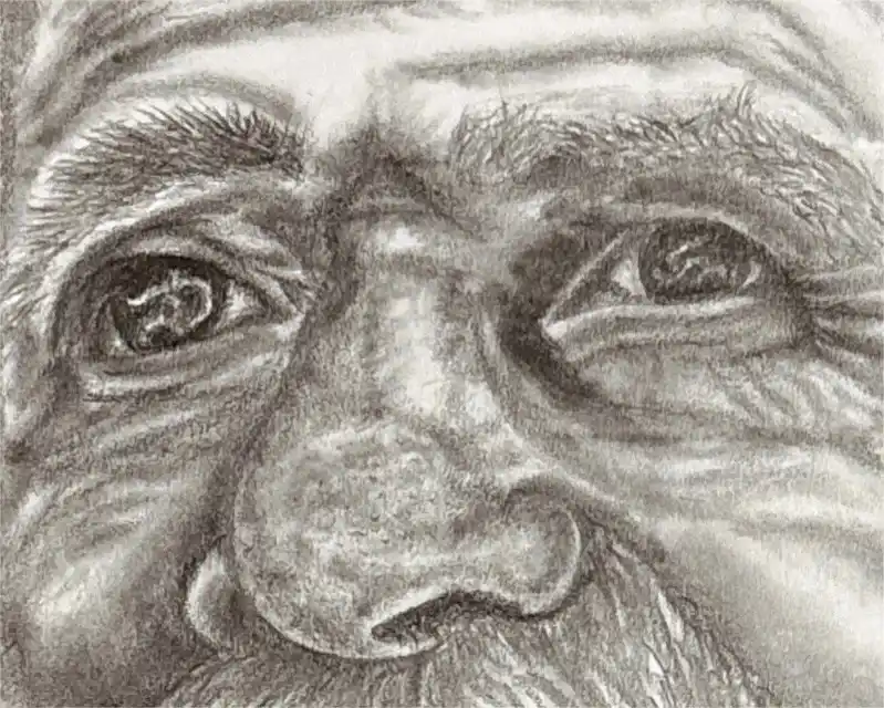 Detalle