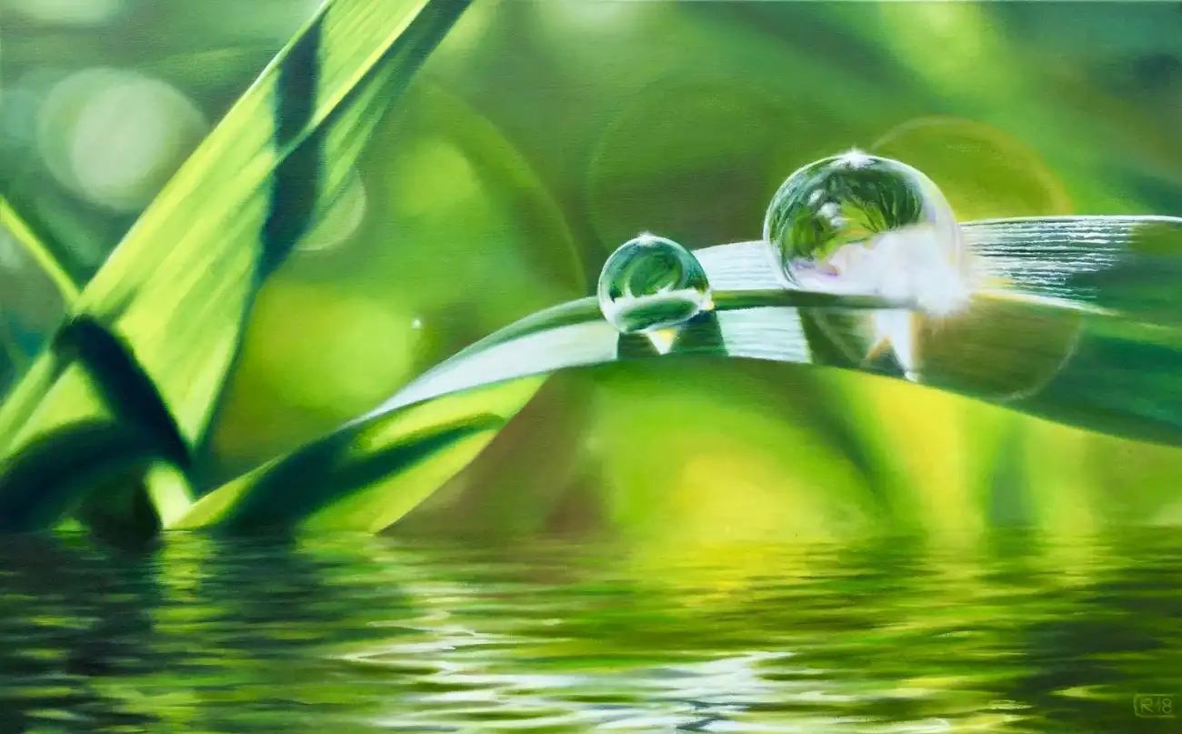 Harmony