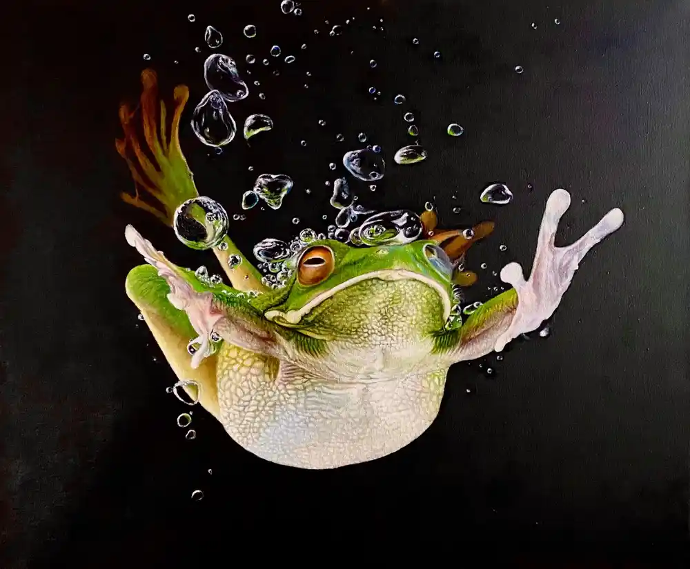 Splash