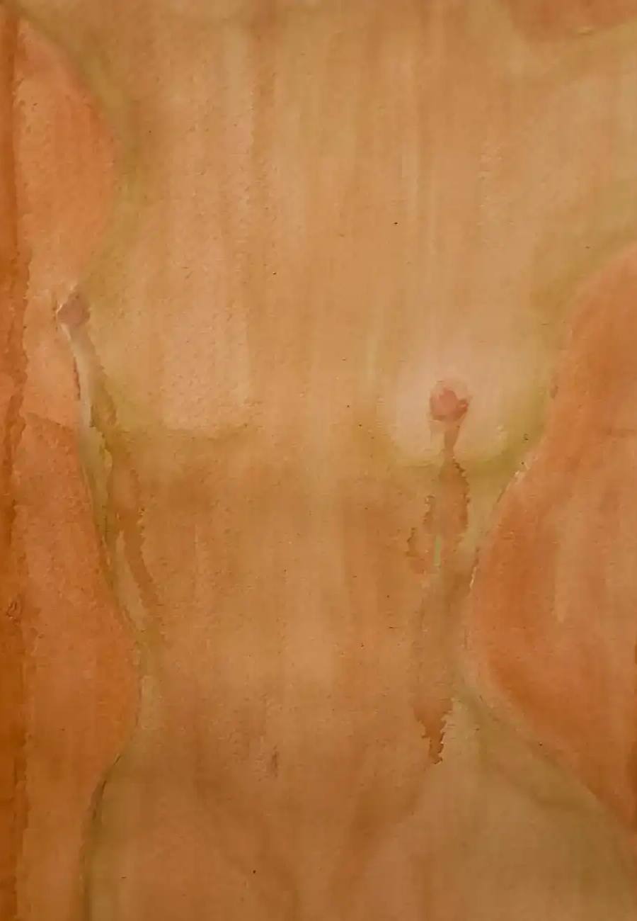 Obra de Bianca Ripoll
