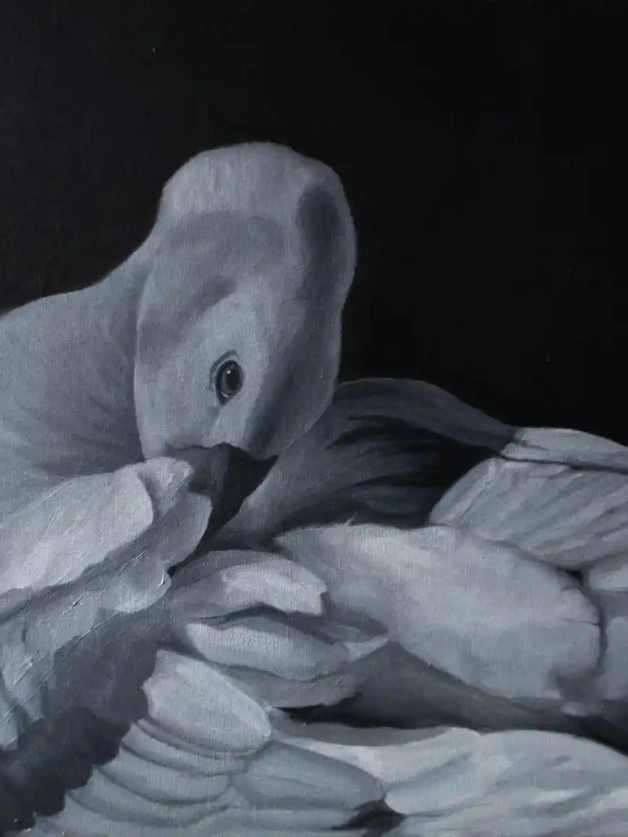 Obra de Bianca Ripoll