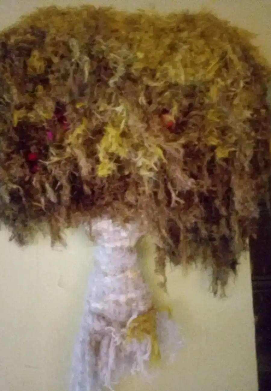 Obra de Claudia Coletta