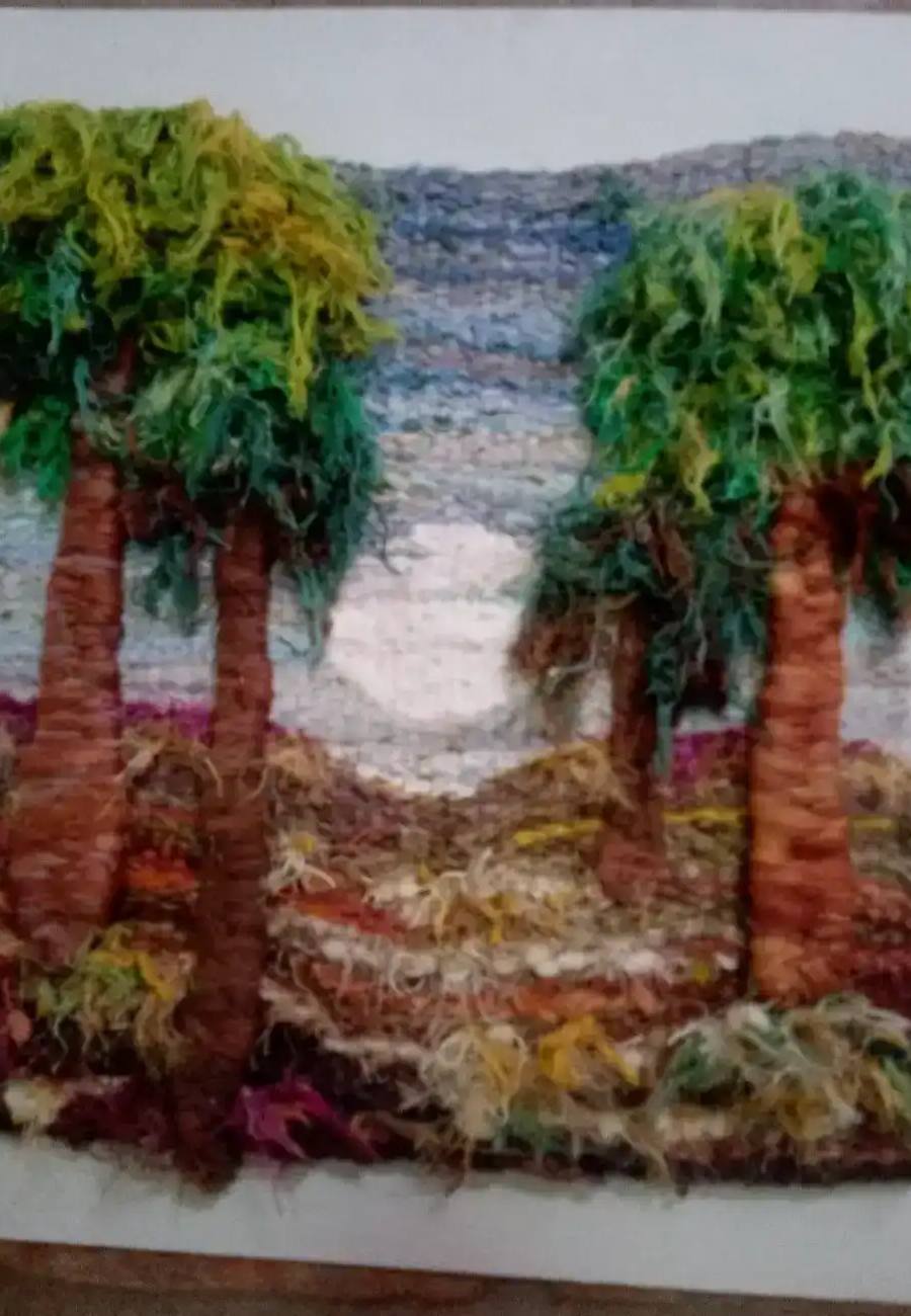 Obra de Claudia Coletta