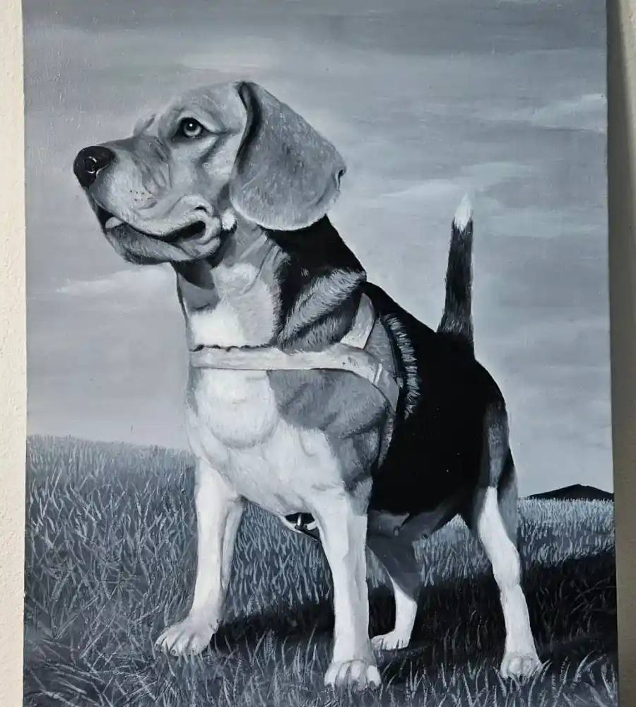 Obra de Flavia Mascanfroni 