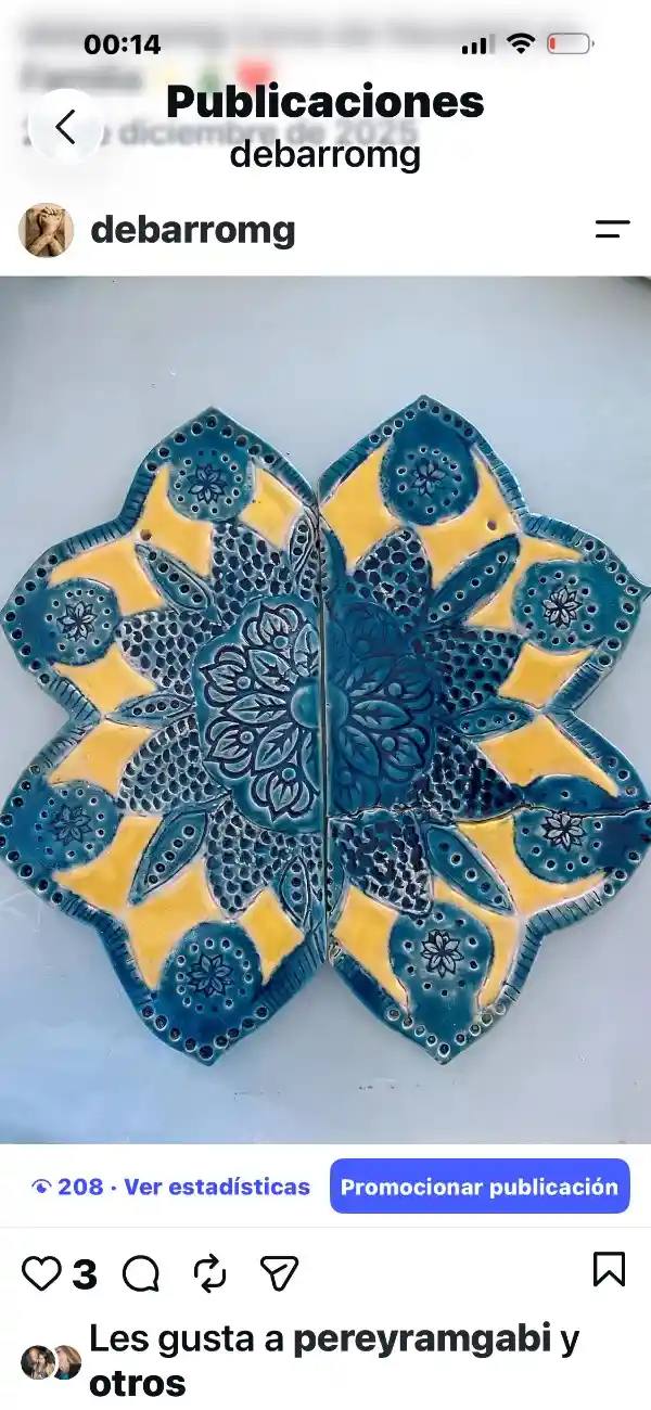 Obra de María Guadalupe Pereyra