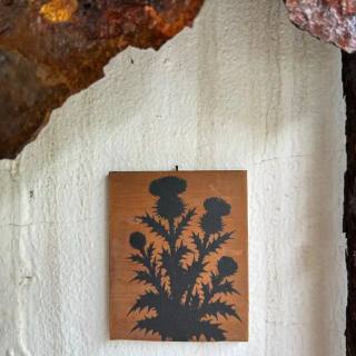 Cirsium vulgare