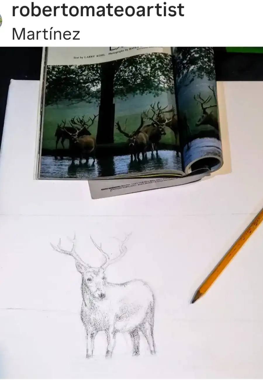 Obra de Roberto Antonio Mateo