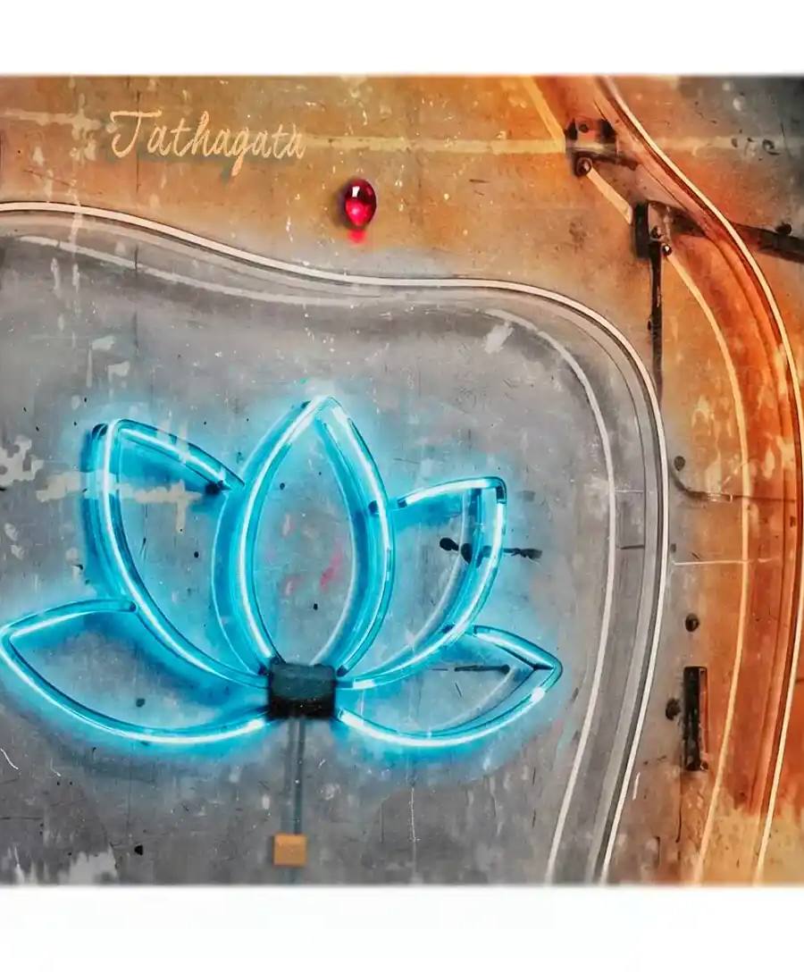 Lotus, de Fernando Quijano