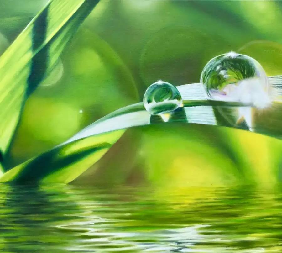 Harmony, de René Cheng