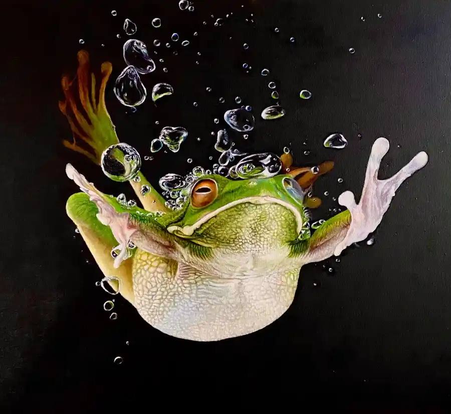 Splash, de René Cheng
